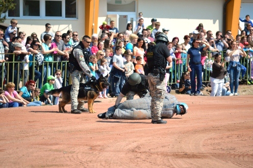 Fotó: Simon Tamás