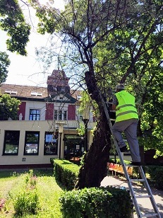 Forrás: Tököli Országos Bv. Intézet