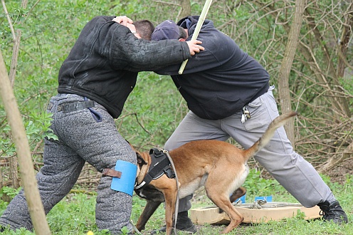 Fotó: Sopronkőhidai Fegyház és Börtön