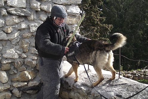 Fotó: Sopronkőhidai Fegyház és Börtön