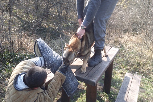 Fotó: Sopronkőhidai Fegyház és Börtön