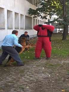 Fotó: Fővárosi Bv. Intézet